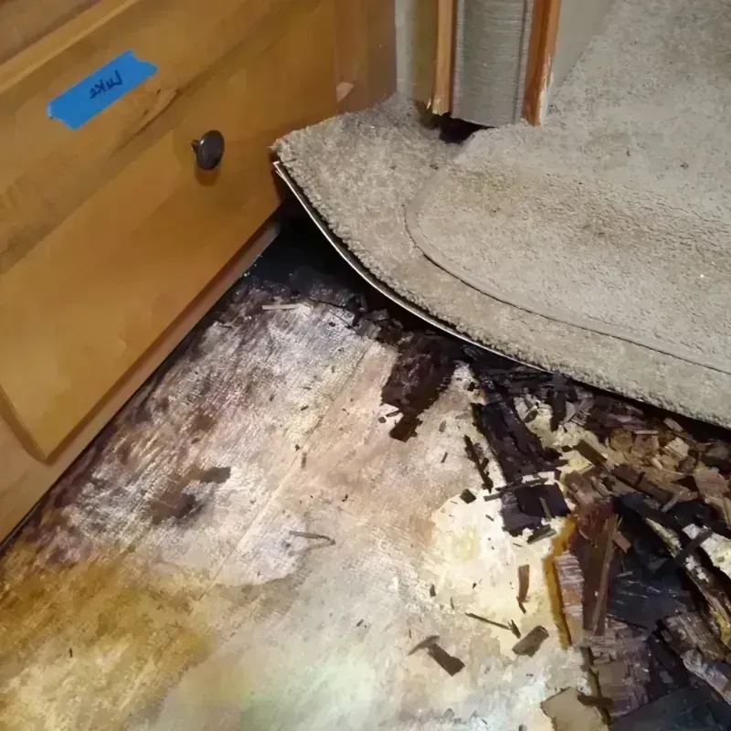 Wood Floor Water Damage in Sarita, TX